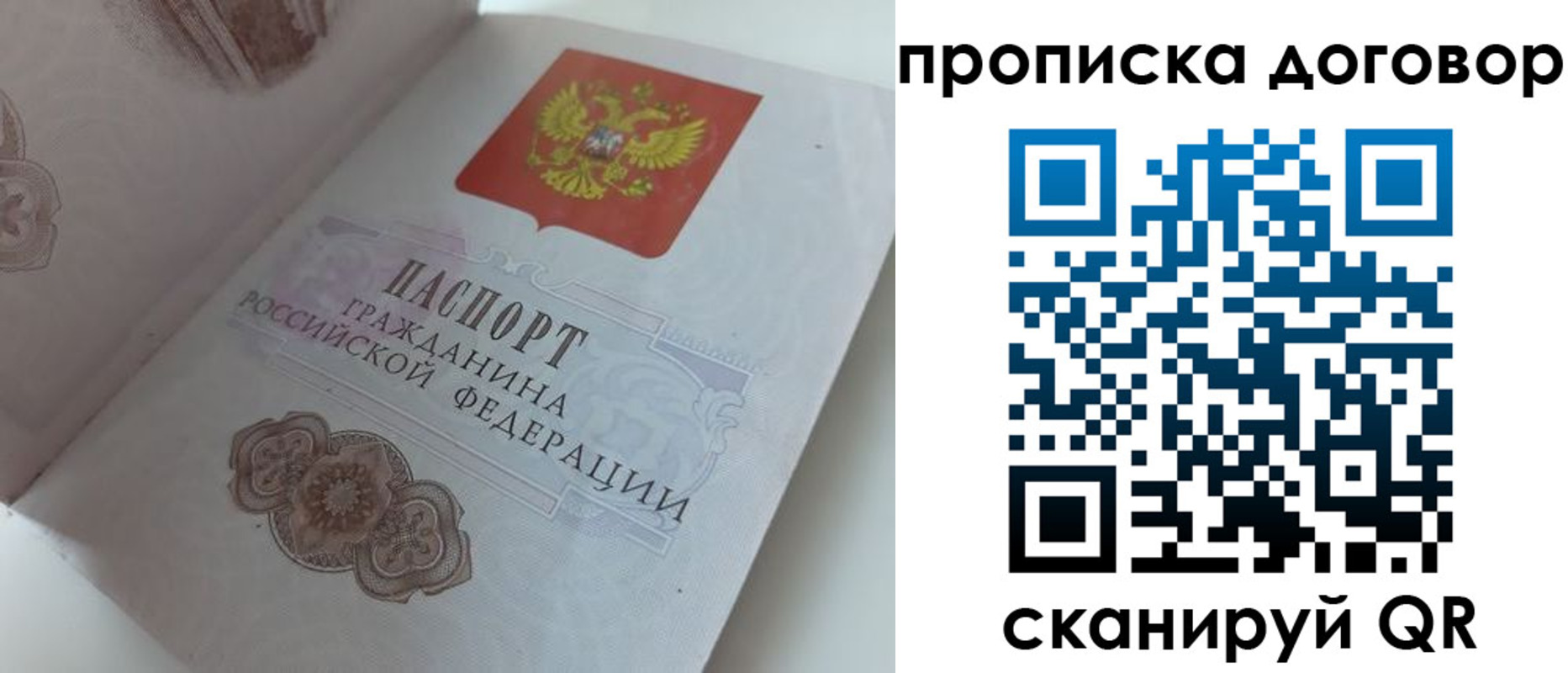 прописка поиск в Смоленской области
